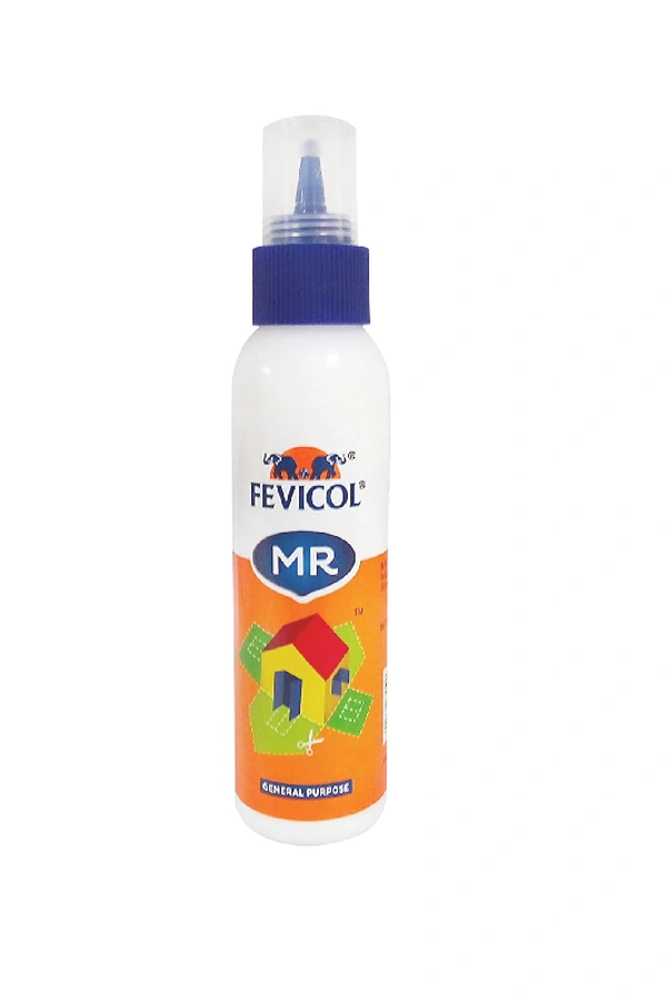 FEVICOL MR 100 G