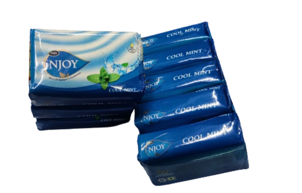 RAJ NJOY BATH SOAP (COOL MINT) 01 PACK OF 05 SOAP - *** LOW PRICE GUARANTEE ***