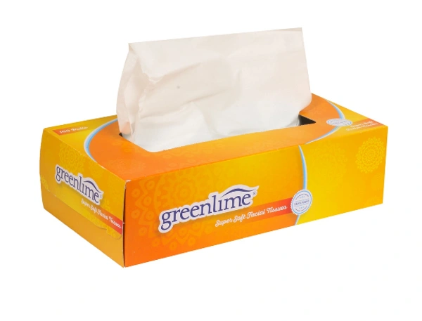 TISSUE PAPER BOX (QTY - 100 PULLS) SIZE - 18 CM X 20 CM