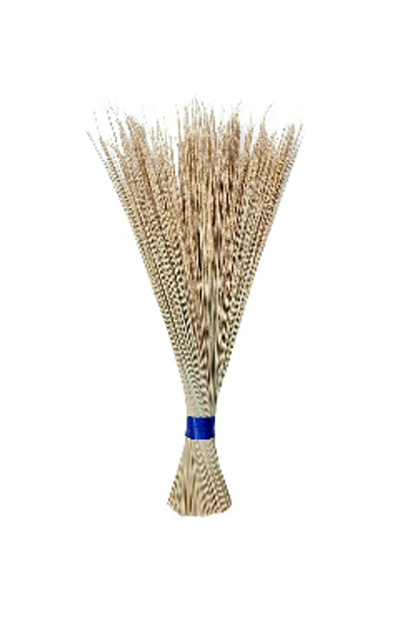 COCO BROOM (KHARATA) BIG SIZE - 4FT