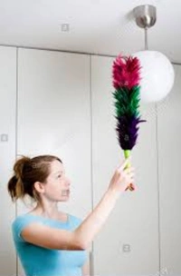STATIC DUSTER