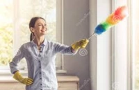 STATIC DUSTER