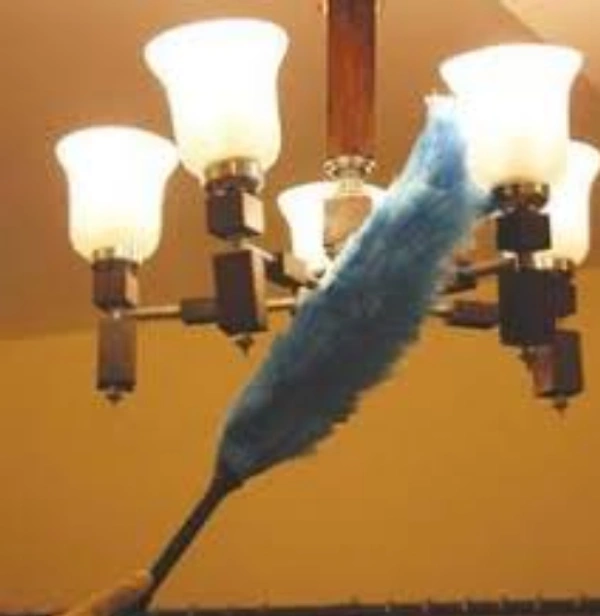 STATIC DUSTER