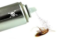 KOKRON (INSECTS KILLER) - 225 ML - *** LOW PRICE GUARANTEE ***
