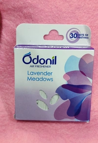 ODONIL Air Freshener 50gm 