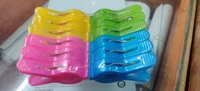 Plastic Cloth Clips ( Set Of 12 )