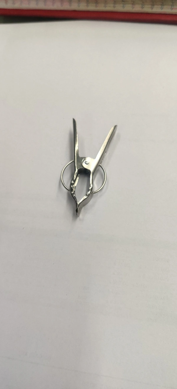 Stainless Steel Cloth Clips (Set Of 12)