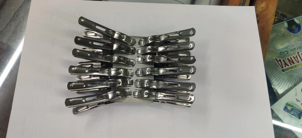 Stainless Steel Cloth Clips (Set Of 12)