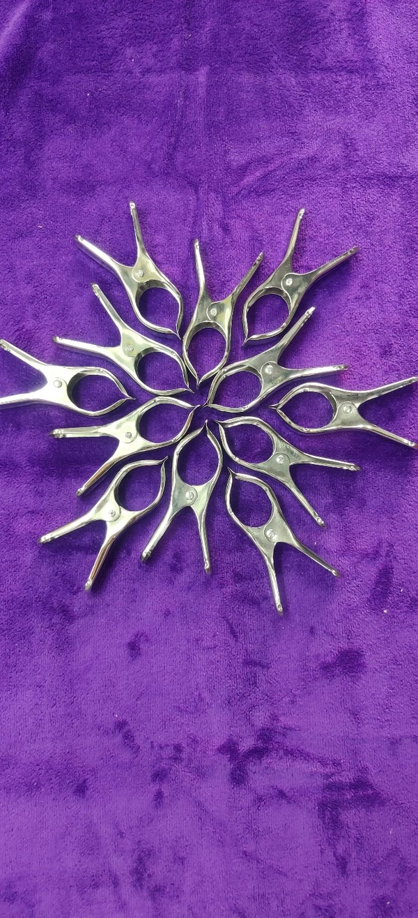 Premium Stainless Steel Clips (12 Pcs)