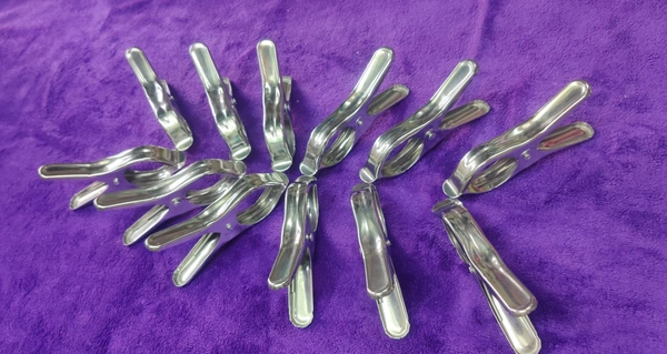 Premium Stainless Steel Clips (12 Pcs)