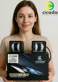Cicada 2 LED Square Lens Fog Lights With Relay, Wiring Harness, Mounting Unit And Wireless Remote IG-479 (240W)
