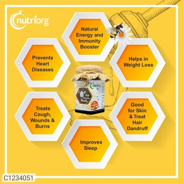 Nutriorg High Altitude Honey 250g  (Pack of 2)