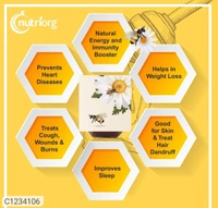 Nutriorg Honey With Jamun Flavor 500 g