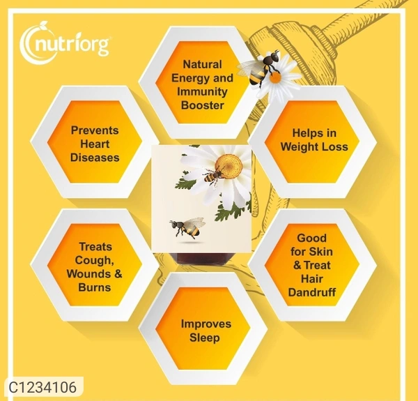 Nutriorg Honey With Jamun Flavor 500 g