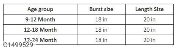 Kids Party Wear Imported Net Floral Frock - 18-24 Months