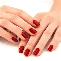 Lakme Absolute Gel Stylist Nail Color 17 Fireside 12 ml
