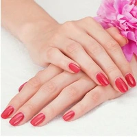 Lakme Absolute Gel Stylist Nail Color 24 Moviestar 12 ml