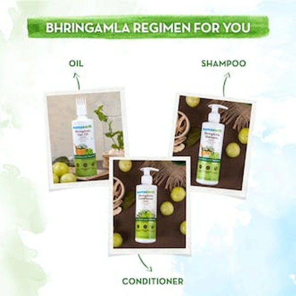 Mamaearth BhringAmla Shampoo for Intense Hair Treatment 250 ml - 250ml