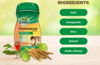 Zandu Chyavanprash - 900g