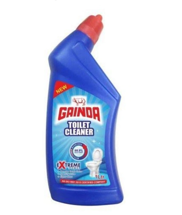 Gainda Toilet Cleaner - 500 ml