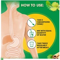 Zandu Pancharisth - 450ml