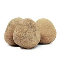 Coconut Lose  - 1 Piece