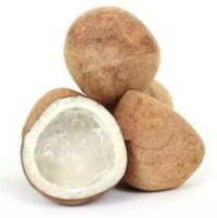 Coconut Lose  - 1 Piece