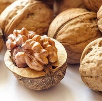 Nutraj California Walnut Inshell - 250g