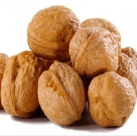 Nutraj California Walnut Inshell - 250g
