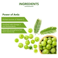 Dabur Amla - 12/2024, 275ml