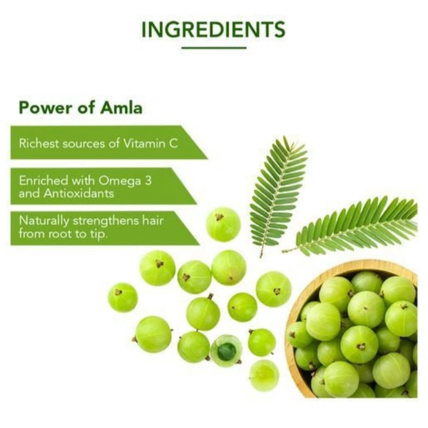 Dabur Amla - 12/2024, 275ml