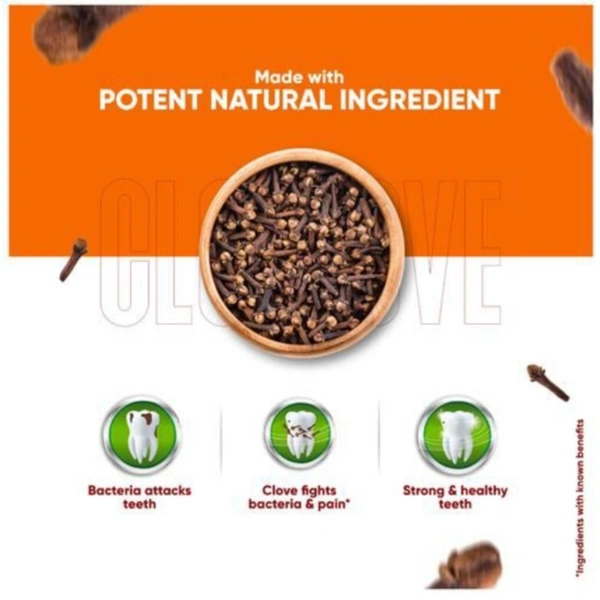 Dabur Clove Toothapest - 200g