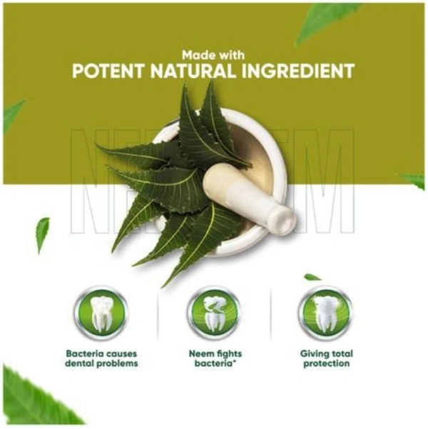 Dabur Neem Toothapest - 200g