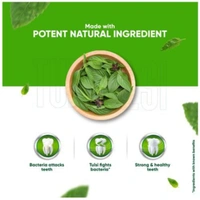 Dabur Tulsi Toothapest - 200g