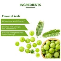 Dabur Amla Hair Oil - 550ml