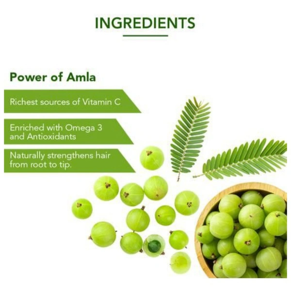 Dabur Amla Hair Oil - 550ml