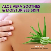 Boro Plus Antiseptic+Moisturising Soap Neem, Tulsi & Aloe Vera - 6×125g