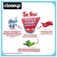 Closeup Everfresh Toothpaste - 80g
