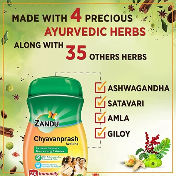 Zandu Chyavanprash Avaleha : 900 gms - 900 gms