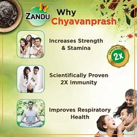 Zandu Chyavanprash Avaleha : 900 gms - 900 gms