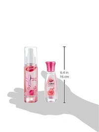 Dabur Gulabari Rose Water : 100 ml - 100 ML