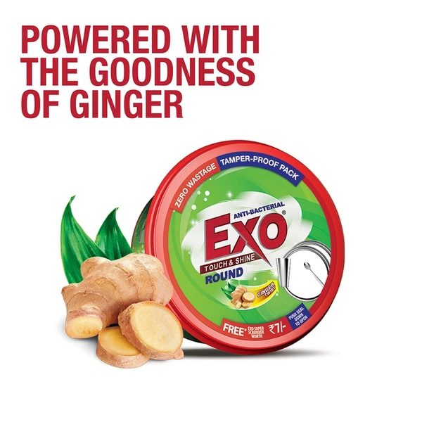 Exo Dish Shine Tub 500 g - 500 gms