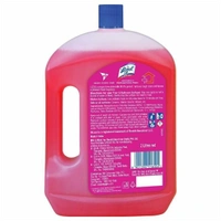 Lizol Floral Disinfectant Floor Cleaner 975 ml - 975 ml