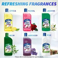 Lizol Citrus Floor Cleaner 1 L - 1 Litre