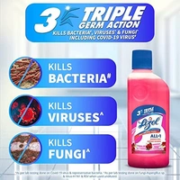 Lizol Floral Disinfectant Floor Cleaner 200 ml - 200 ml