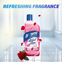 Lizol Floral Surface Cleaner 625 ml - 625 ml