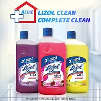 Lizol Floral Surface Cleaner 625 ml - 625 ml