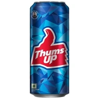 Thums Up Soft Drink, 300 ml Can - 300 ml