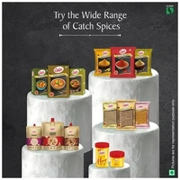 Catch Chat Masala Powder - Sprinkler 50 g Can - 50 gms