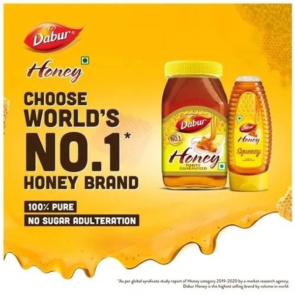 Dabur 100% Pure Honey - Worlds No.1 Honey Brand With No Sugar Adulteration, 500 g - 500 gms